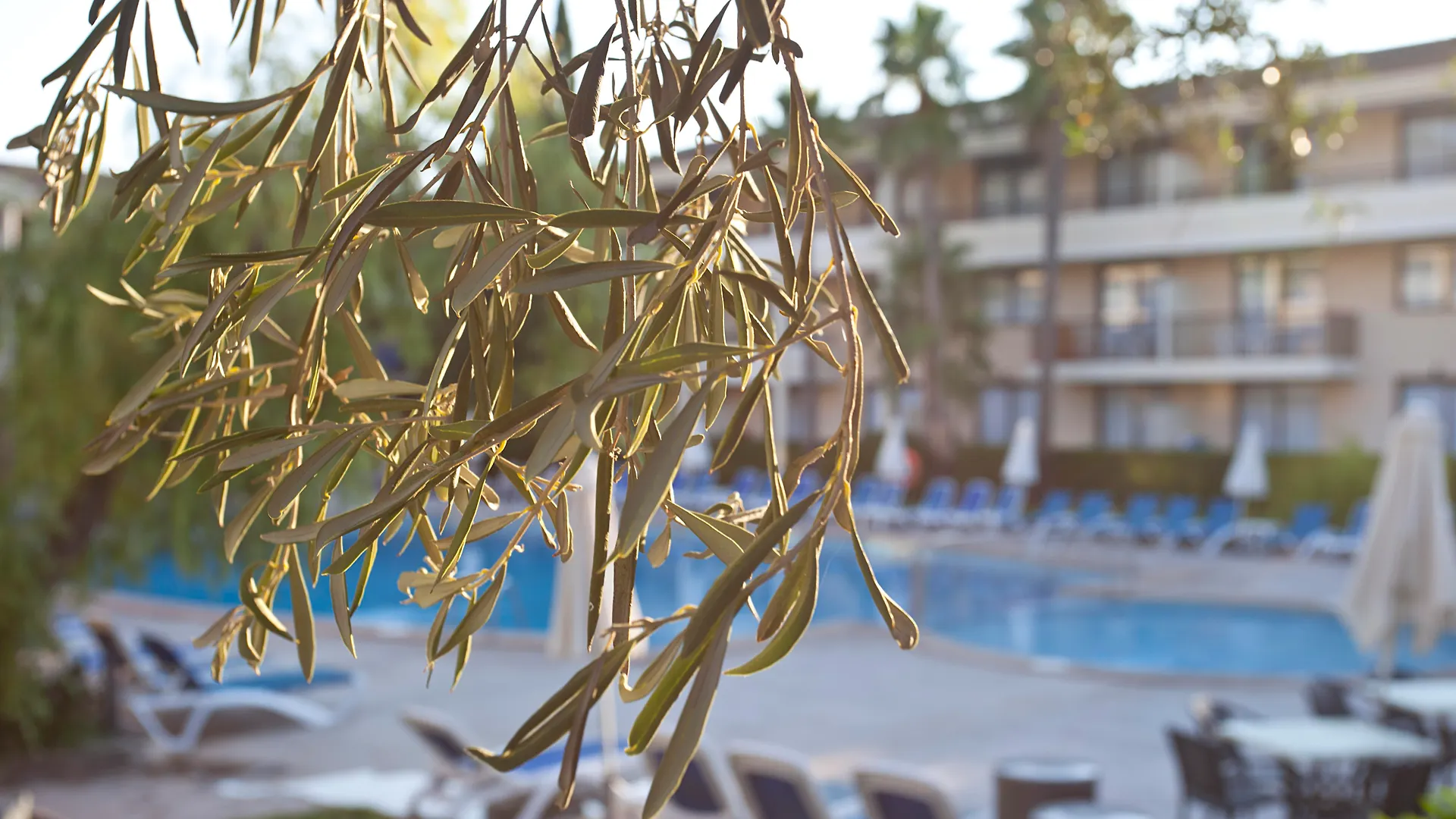 Hotel Bahia Pollensa Port de Pollenca